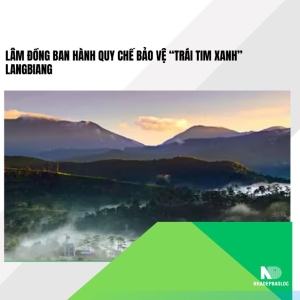 Lâm Đồng ban hành quy chế bảo vệ “trái tim xanh” Langbiang