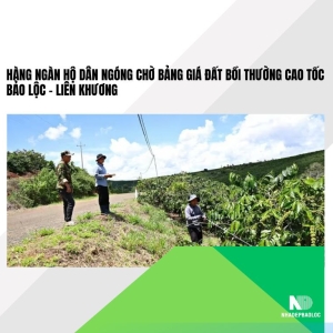 Hàng ngàn hộ dân ngóng chờ bảng giá đất bồi thường cao tốc Bảo Lộc – Liên Khương