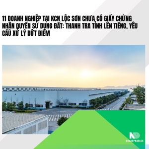 11 doanh nghiệp tại KCN Lộc Sơn chưa có Giấy chứng nhận quyền sử dụng đất: Thanh tra tỉnh lên tiếng, yêu cầu xử lý dứt điểm