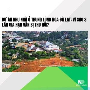 Dự án Khu nhà ở Thung lũng hoa Đà Lạt: Vì sao 3 lần gia hạn vẫn bị thu hồi?