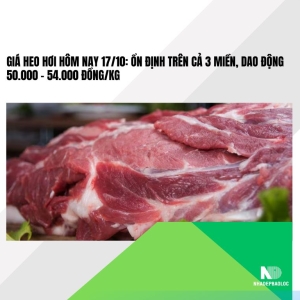Giá heo hơi hôm nay 17/10: Ổn định trên cả 3 miền, dao động 50.000 – 54.000 đồng/kg