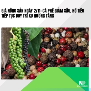 Giá nông sản ngày 2/11: Cà phê giảm sâu, hồ tiêu tiếp tục duy trì xu hướng tăng