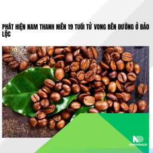 Giá nông sản ngày 15/12/2025: Hồ tiêu giữ đỉnh cao, cà phê giảm mạnh tuần thứ ba liên tiếp