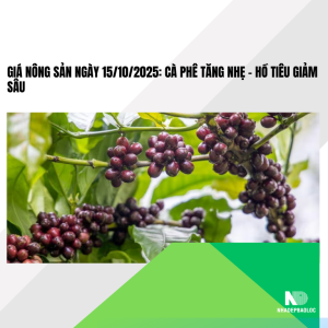 Giá Nông Sản Ngày 15/10/2025: Cà Phê Tăng Nhẹ – Hồ Tiêu Giảm Sâu