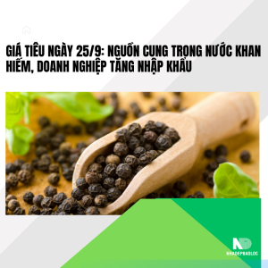 Giá tiêu ngày 25/9: Nguồn cung trong nước khan hiếm, doanh nghiệp tăng nhập khẩu