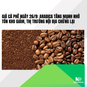 Giá cà phê ngày 26/9: Arabica tăng mạnh nhờ tồn kho giảm, thị trường nội địa chững lại
