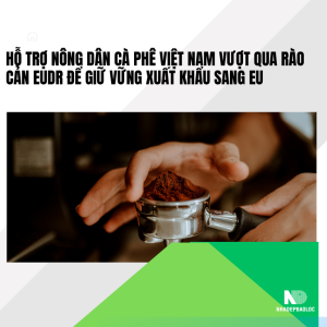 Hỗ trợ nông dân cà phê Việt Nam vượt qua rào cản EUDR để giữ vững xuất khẩu sang EU