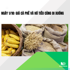 Ngày 1/10: Giá cà phê và hồ tiêu cùng đi xuống