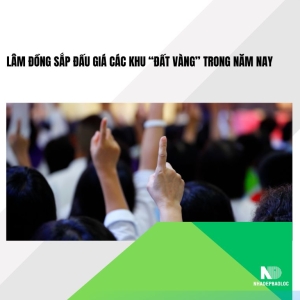 Lâm Đồng sắp đấu giá các khu “đất vàng” trong năm nay