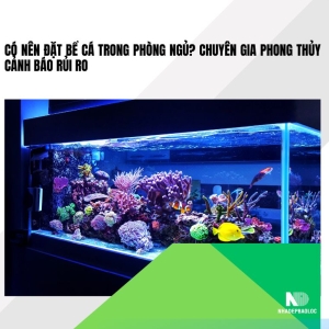 Có nên đặt bể cá trong phòng ngủ? Chuyên gia phong thủy cảnh báo rủi ro