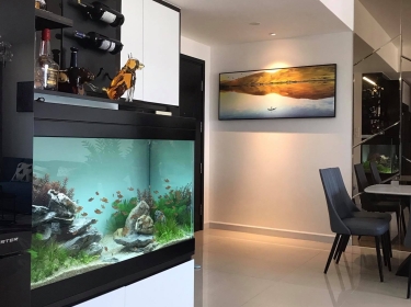 Căn hộ Sunrise City South-Q7